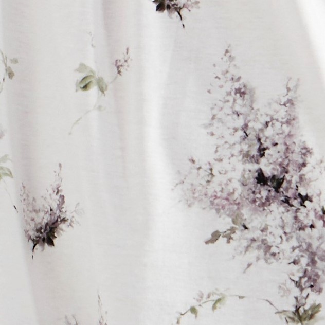 champagner-rose-cloud-winter-flower